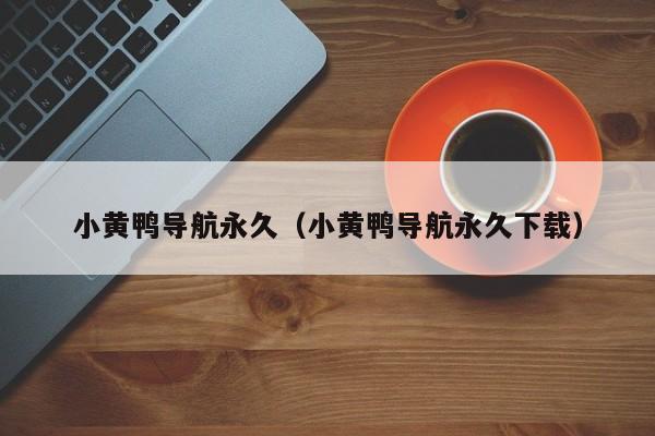小黄鸭导航永久（小黄鸭导航永久下载）